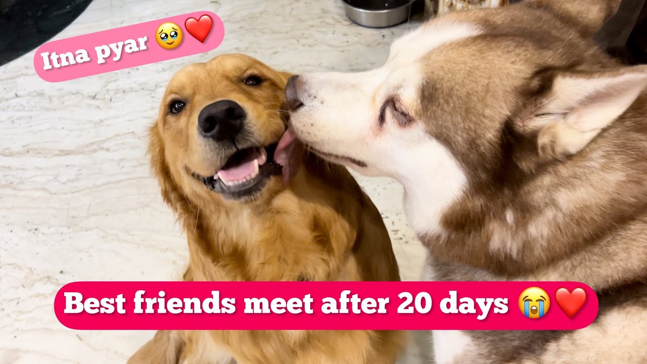 Finally Ghost meets Max after 20 days 😭 | Emotional ho gya 🥹❤️