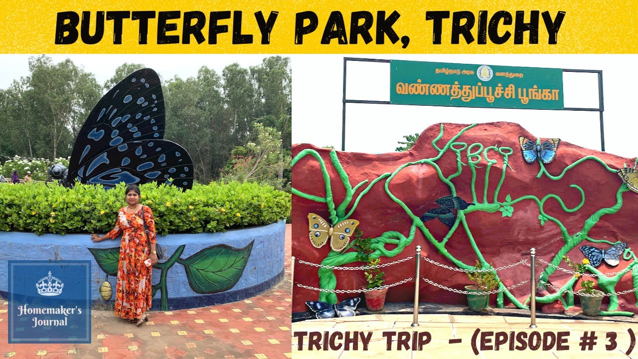 Butterfly Park, Trichy | வண்ணத்துப்பூச்சி பூங்கா, திருச்சிராப்பள்ளி