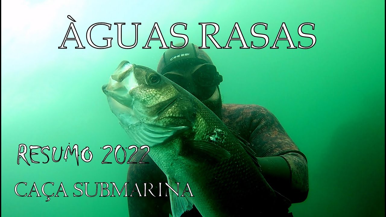 Águas Rasas  [ Caça Submarina «Resumo 2022» ]