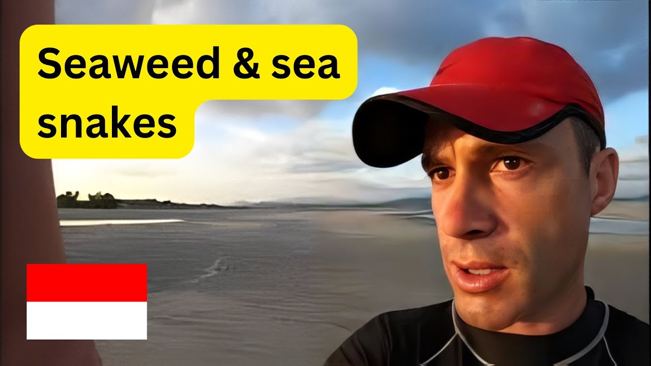 Sunsets, seaweed, sea snakes at Jeneponto Beach, Indonesia
