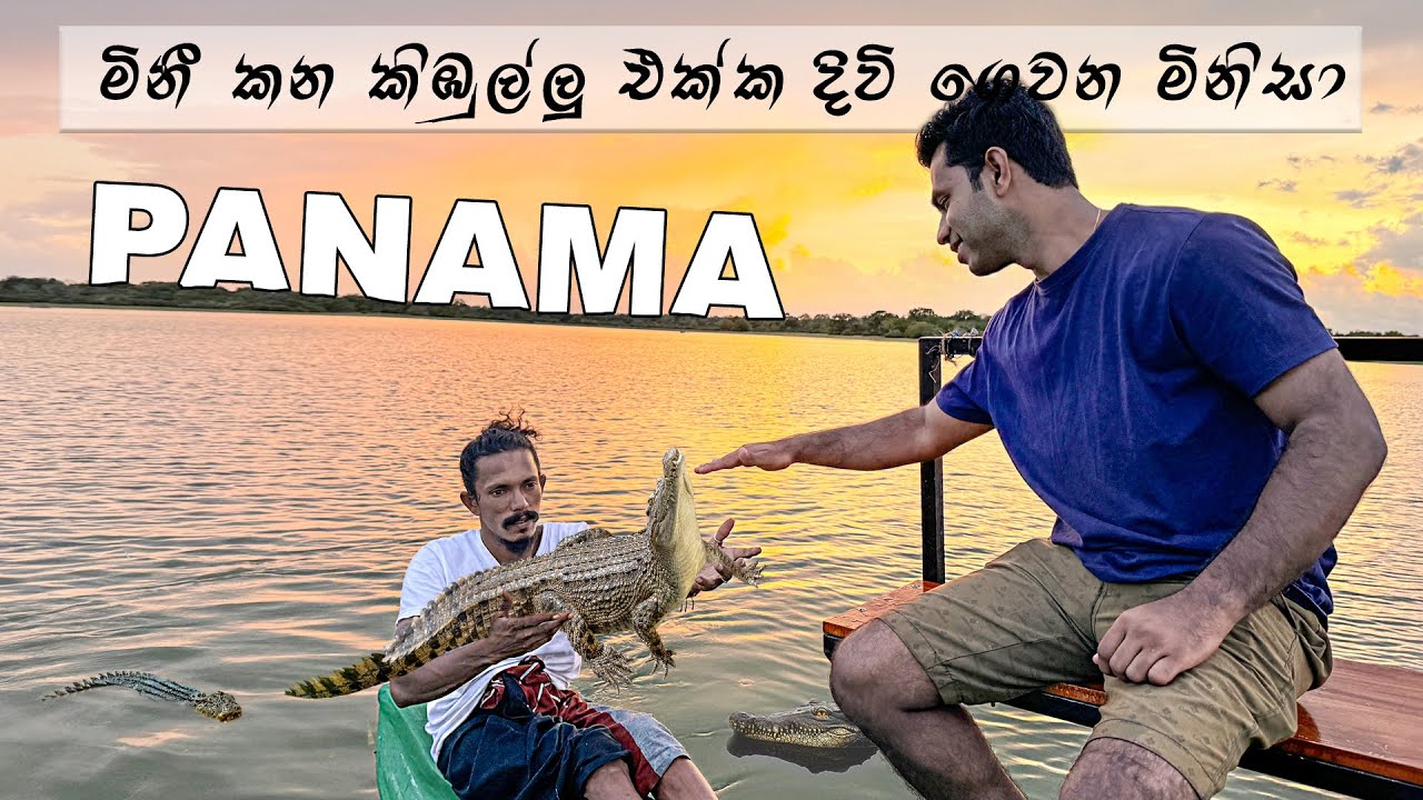මිනීමරු කිඹුල්ලු එක්ක ජීවිතේ ගෙවන මිනිසා 😱 | 🐊 Crocodile Watching in Panama Lake