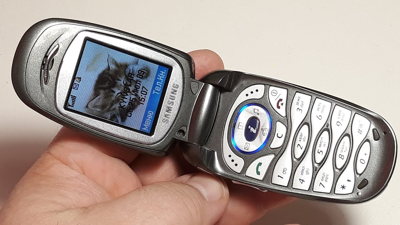Samsung SGH X460. Капсула времени от Корейцев. Шикарный телефон для зоны