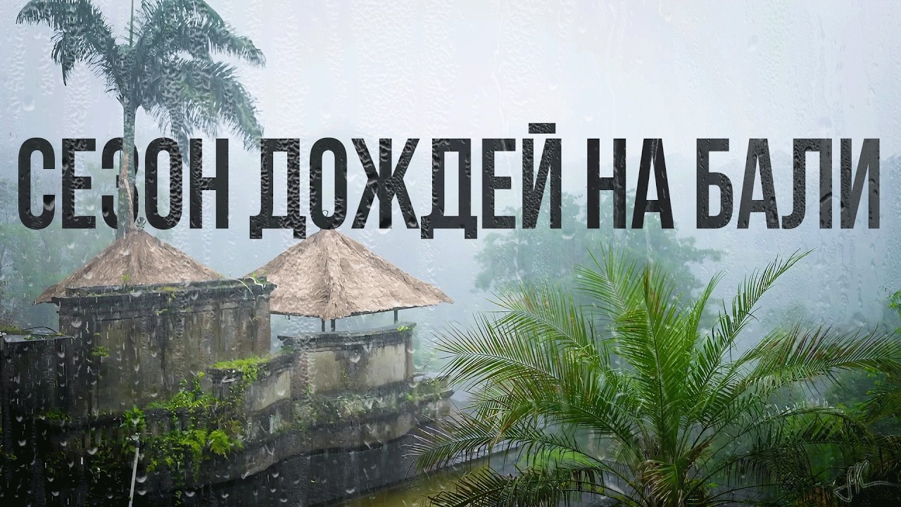 СЕЗОН ДОЖДЕЙ на Бали. ТОП советов: куда поехать, что посмотреть, про денге и безопасность на дорогах