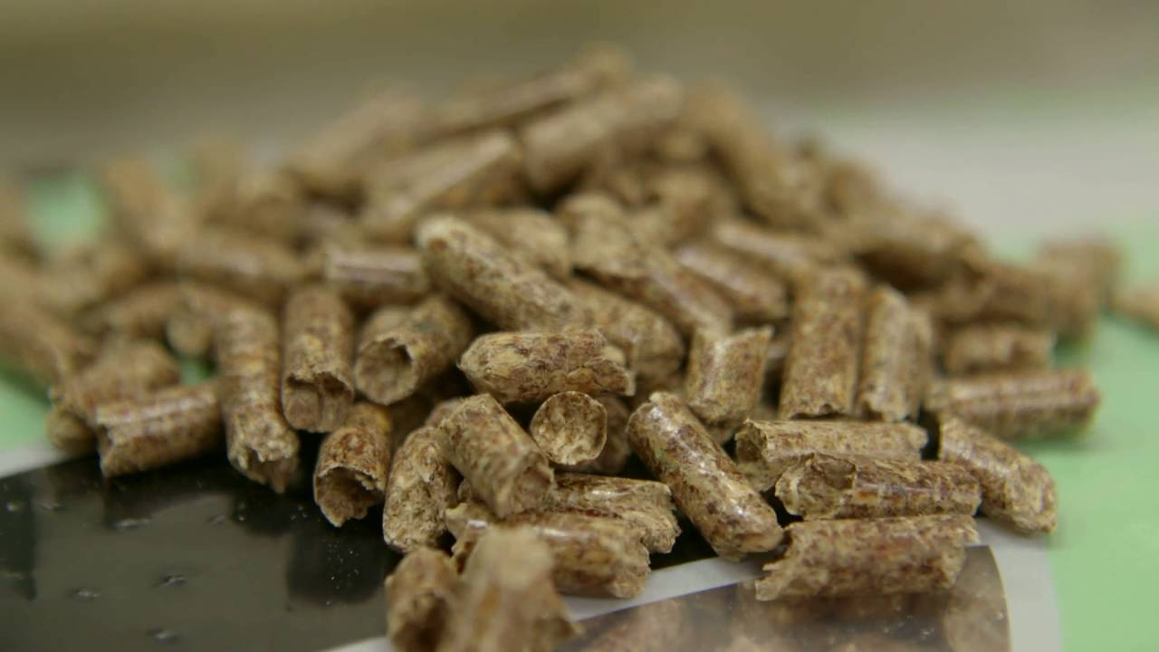 Energy Pellets Moerdijk item Doe Maar Duurzaam! RTL7 S04E04 8 mei 2016