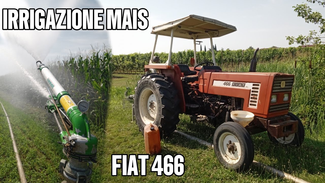 IRRIGAZIONE MAIS con FIAT 466!!!