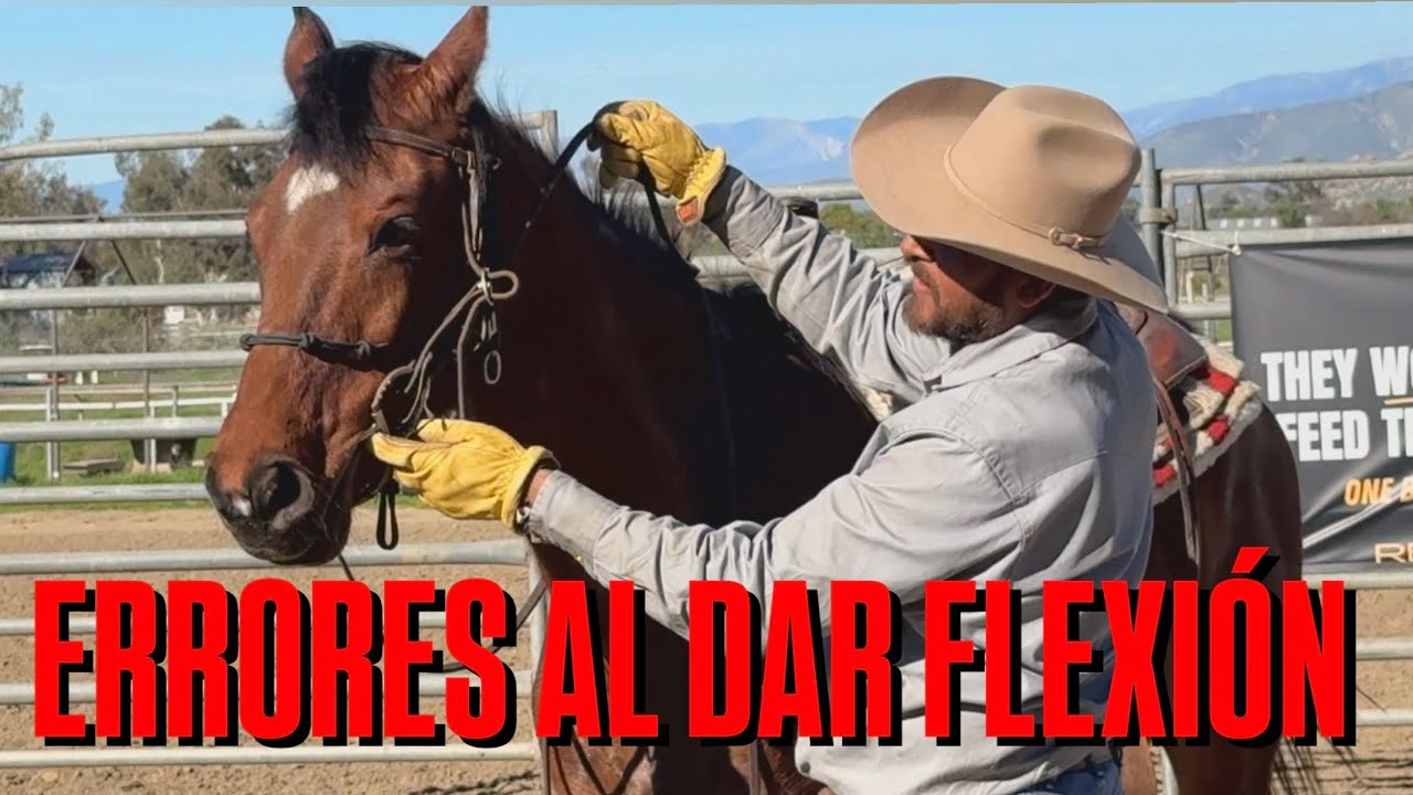 Errores Al Enseñar La  Flexión 