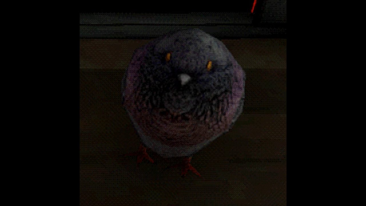 voices of the void pigeon
