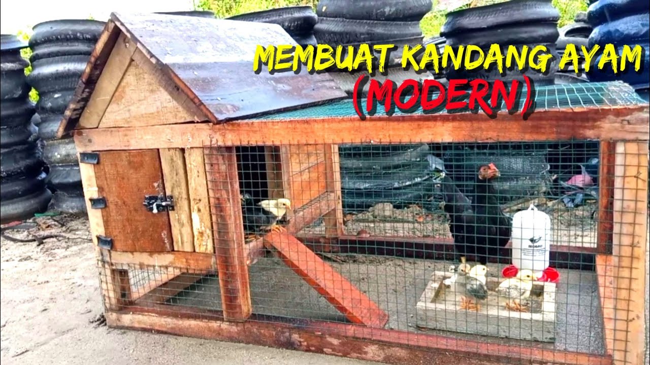 kandang ayam modern (modern chicken coop)