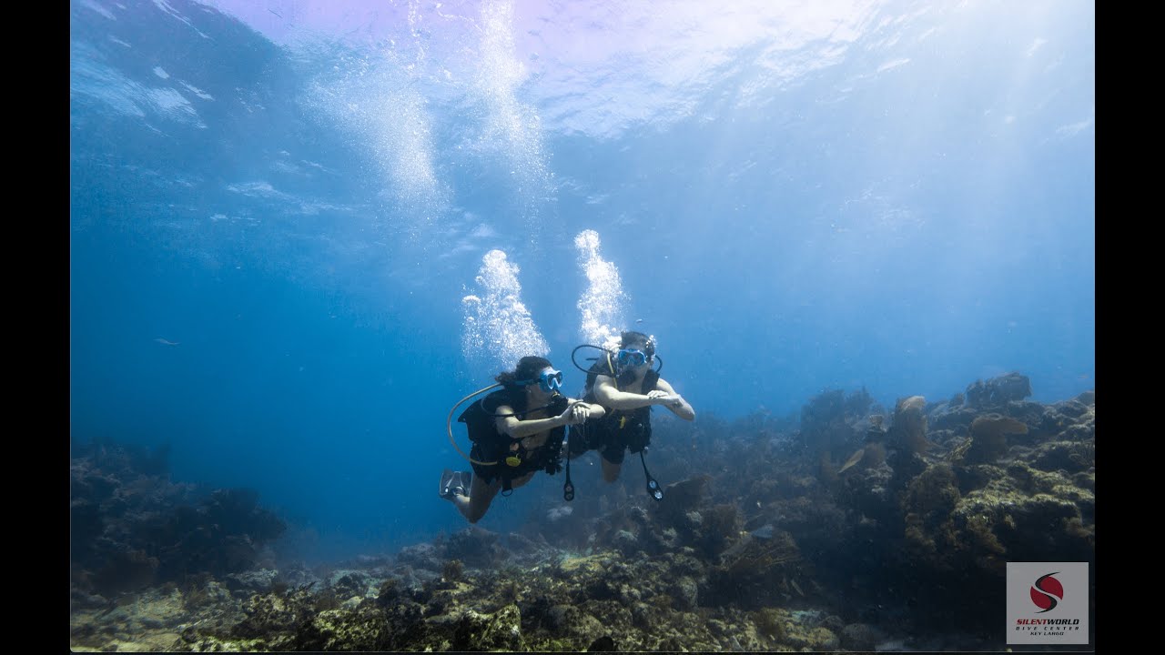Dreaming of Scuba Diving Key Largo Florida - Silent World Dive Center