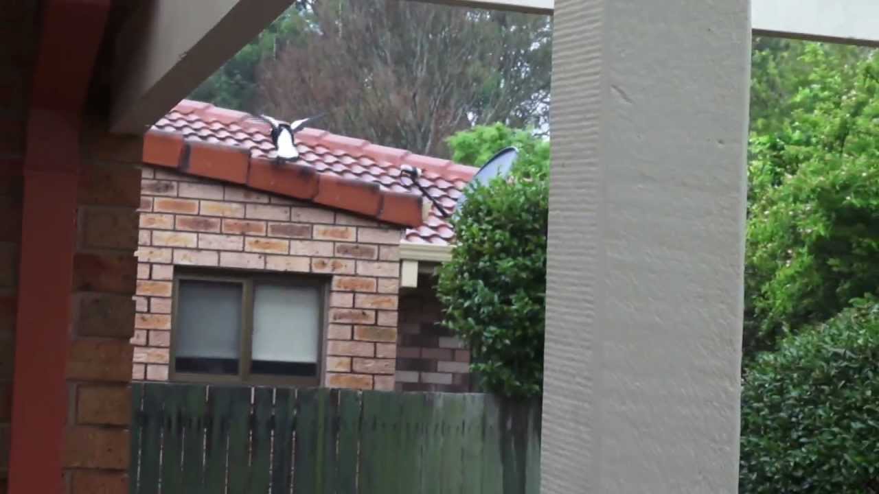 SONY HXR-NX70P First Rain Proof Test