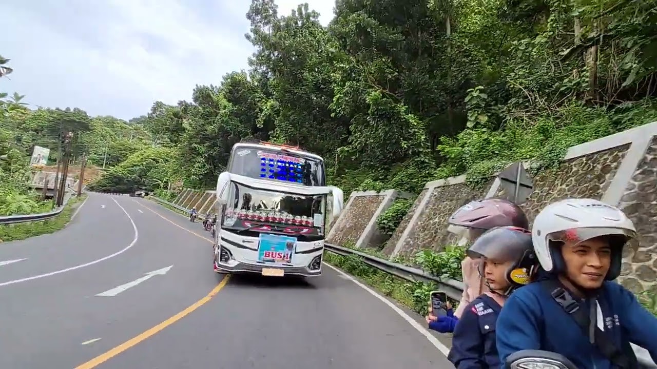 Kejar Kids panda turun gunung gacor dor