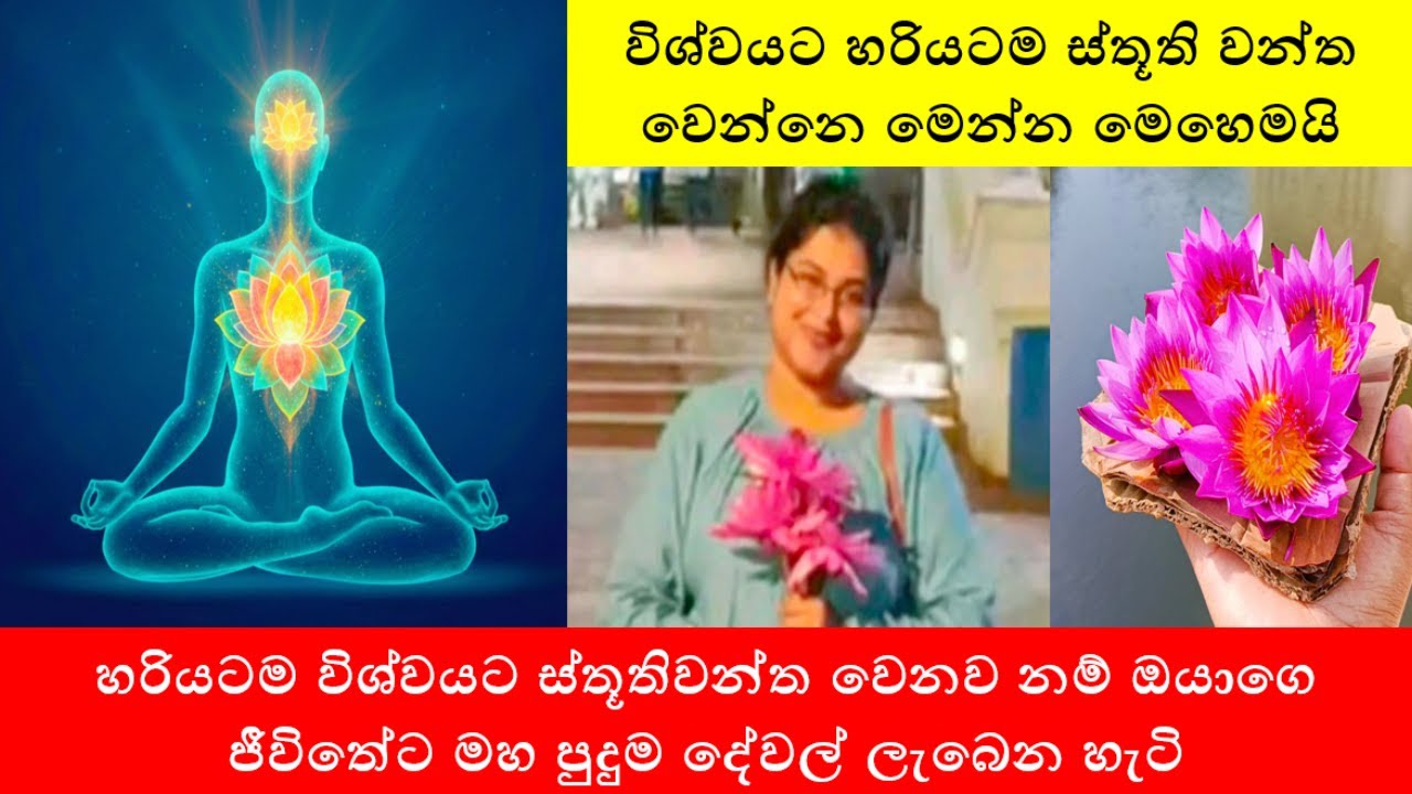 විශ්වයට හරියටම ස්තූති වන්ත වෙන්නෙ මෙන්න මෙහෙමයි | How to Show Gratitude to the Universe Correctly