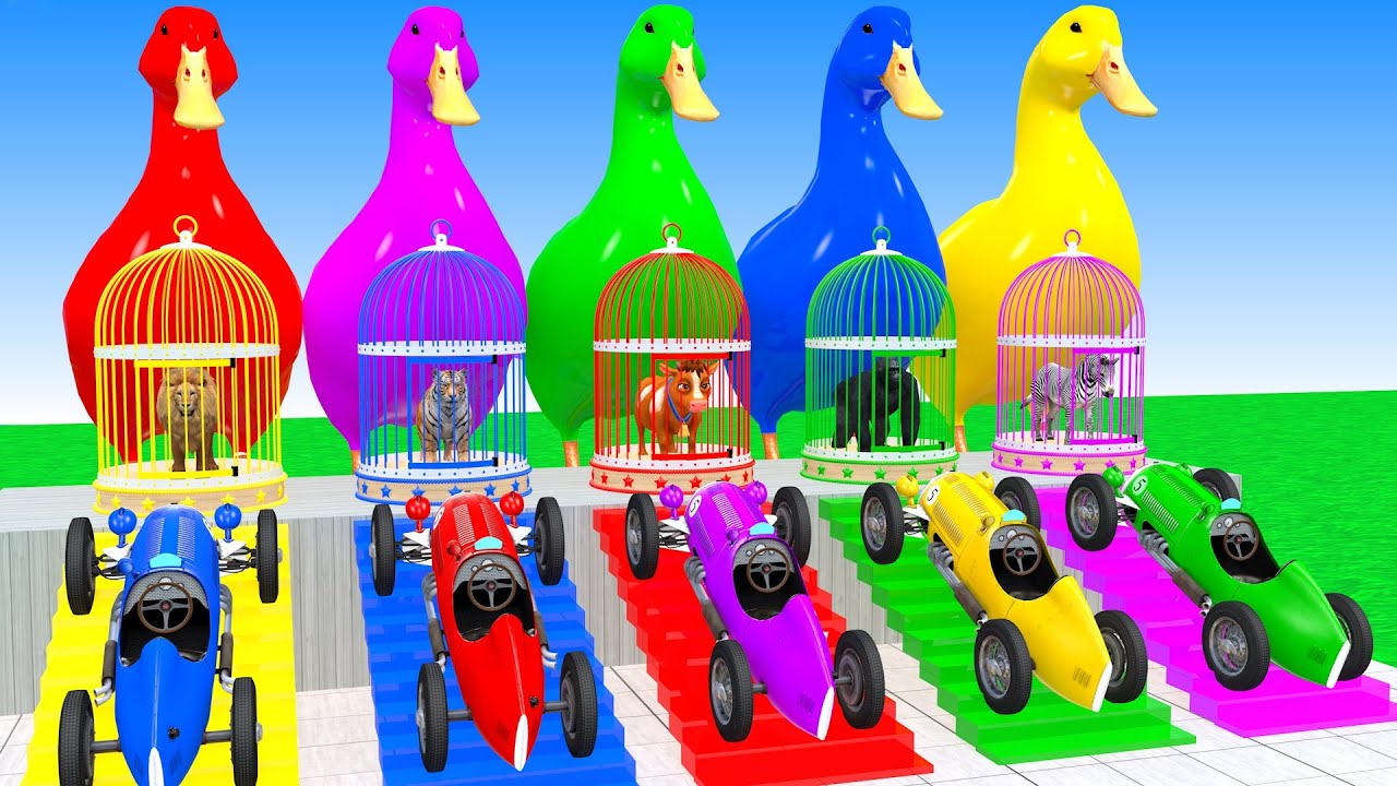 Long Slide Game With Elephant Lion Tiger Cow Gorilla Zebra Hippo 3d Animal Game Funny 3d Animals