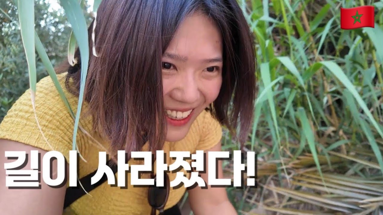 정글인가 협곡인가, 길 없는 트래킹 모로코 협곡으로 가는 방법 - #6 모로코🇲🇦