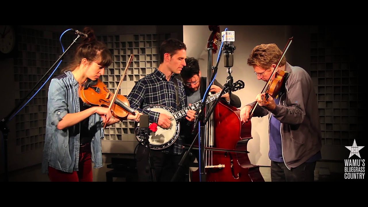 Jayme Stone's Lomax Project - Foreign Lander [Live at WAMU's Bluegrass Country]