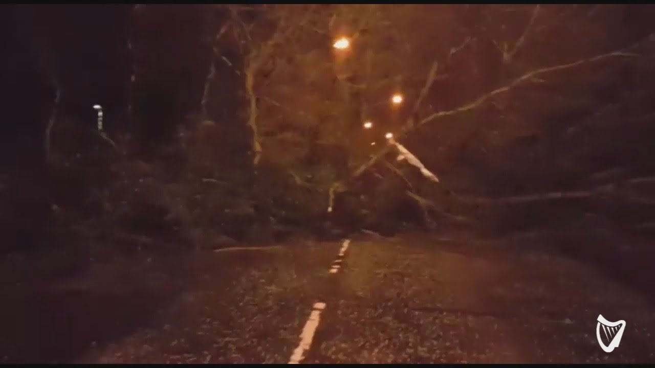 VIDEO: Trees downed and roads blocked by Storm Eleanor damage in Co Armagh