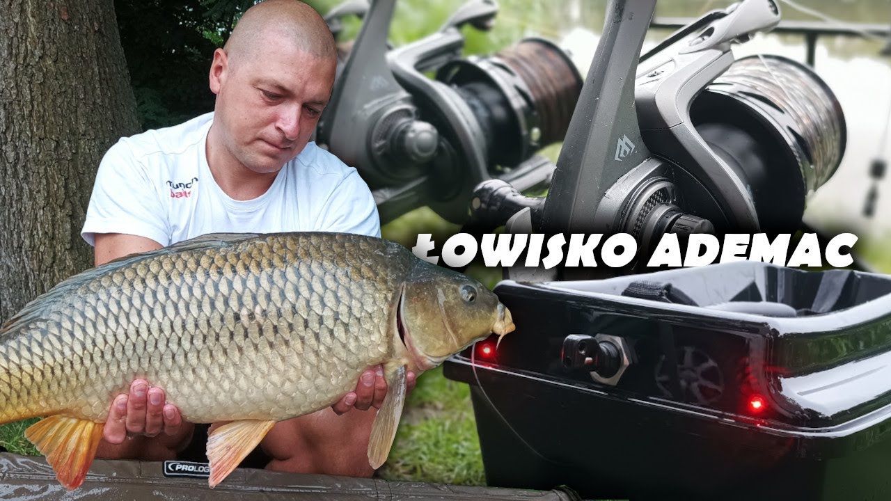 Ademac DESZCZOWĄ porą / Kameralna WODA / Pływamy nowym ACTOR-em PLUS / niezawodny ORZECH Tygrysi