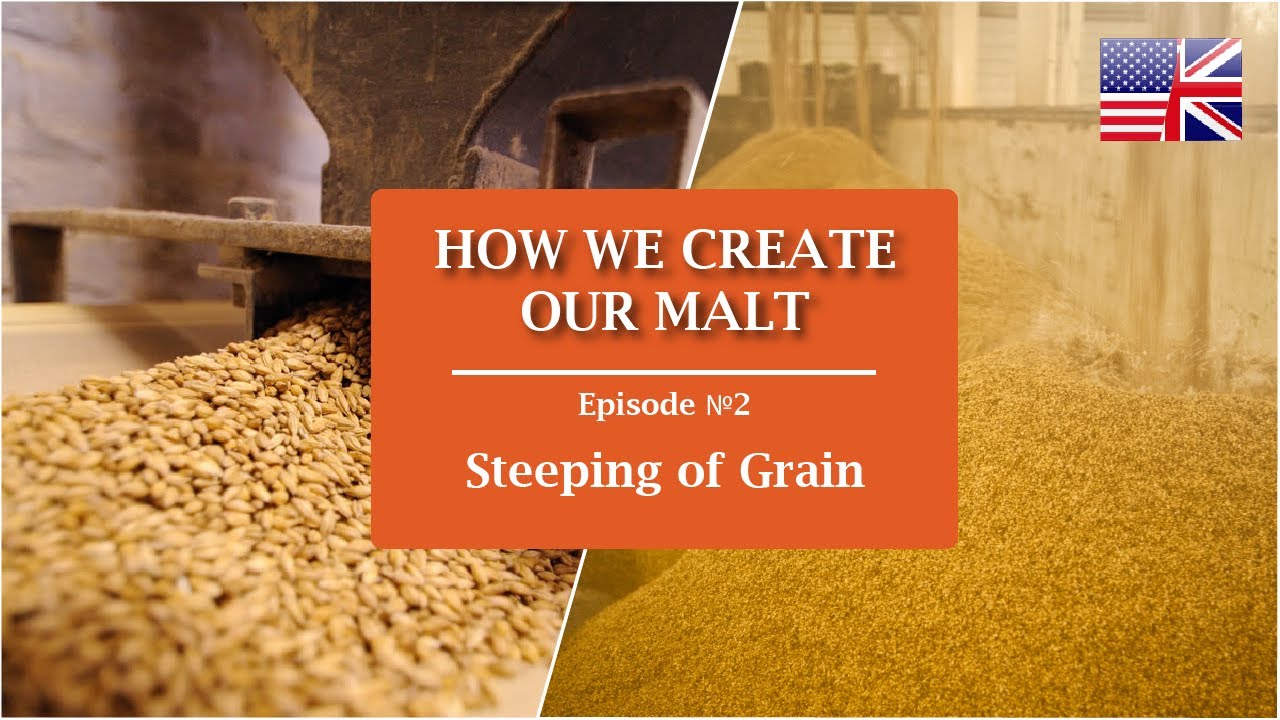 Stage 2: Steeping of Grain | How we make our Malts? | Castle Malting