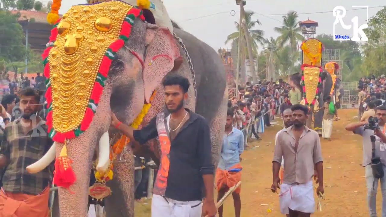 ലക്ഷക്കണക്കിന്  ആളുകൾക്ക്‌ നടുവിൽ നൂറോളം ആനകൾ വീഡിയോ കണ്ടു നോക്കു ❗ ആനയടി ഗജമേള 2025/ ഫുൾ വീഡിയോ