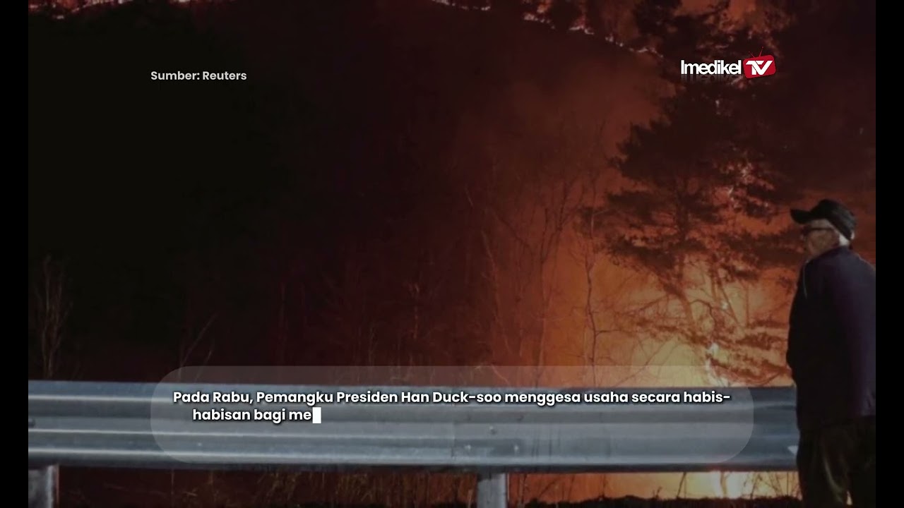 ANGKA KORBAN KEBAKARAN HUTAN DI KOREA SELATAN MENINGKAT KEPADA 24 | Imedikel TV