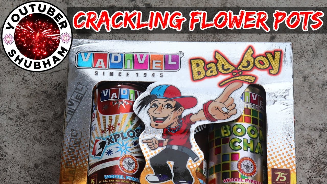 Bad Boy from Vadivel Pyrotechs - Crackling Flower Pots for Diwali
