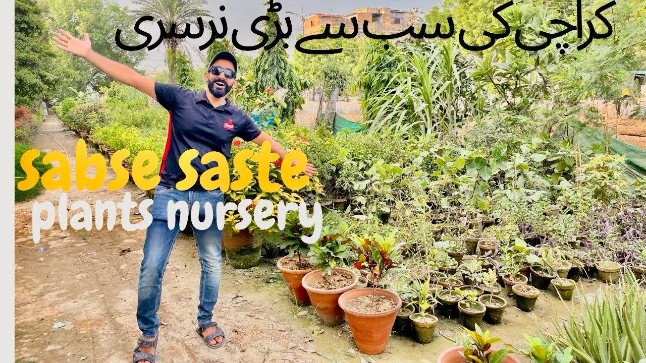karachi ki sabse bari nursery or sabse saste plants || karachi biggest plants nursery 