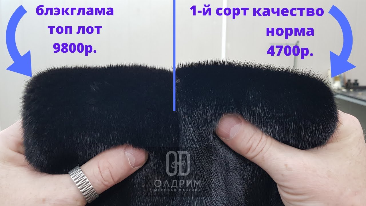 Королева норки Блэклама