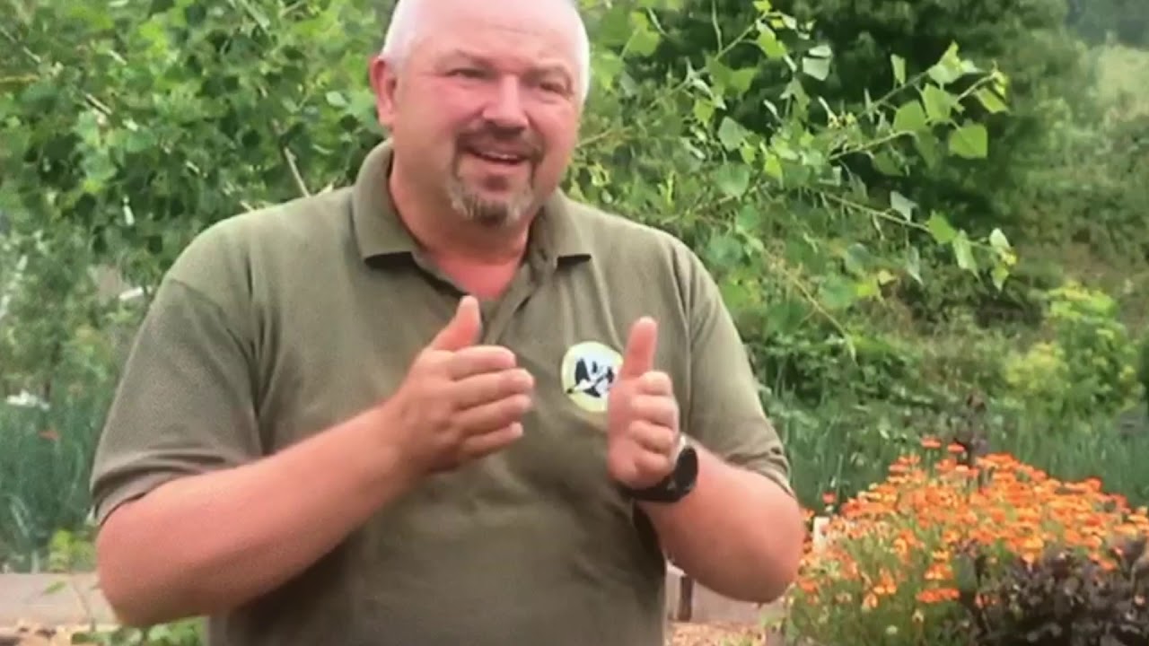 SITR helps businesses across the Midlands flourish - ITV Central News