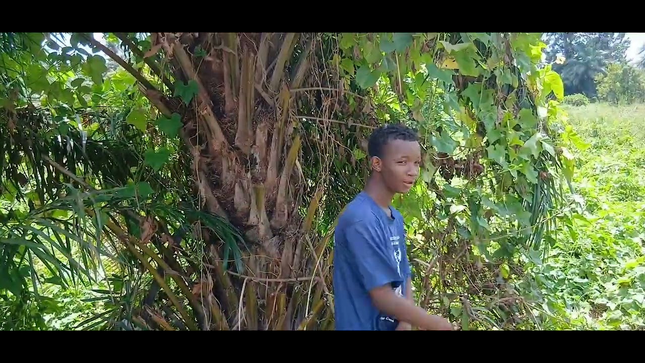 14 de março de 2026
