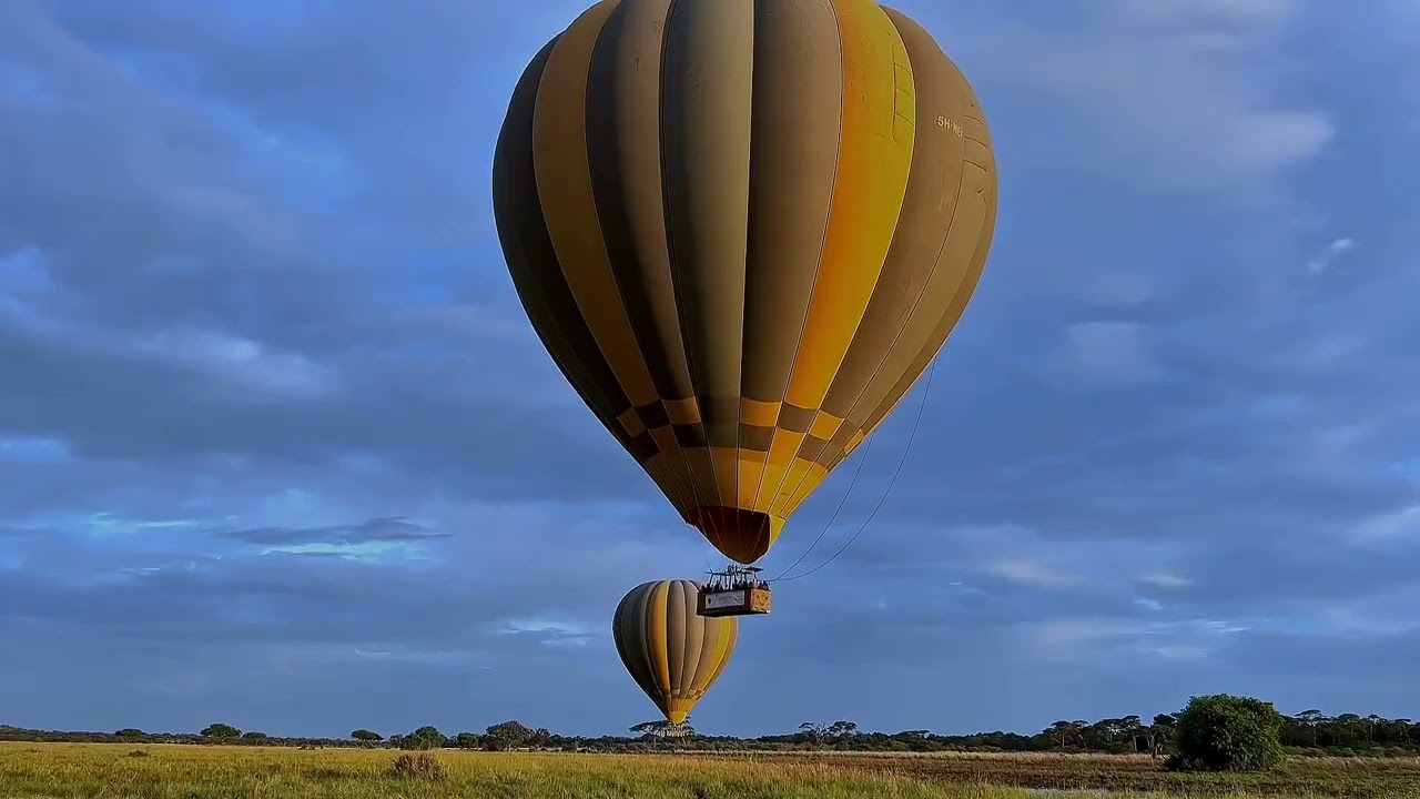 It's Kirawira Season with Miracle Experience Hot Air Balloon Safari.