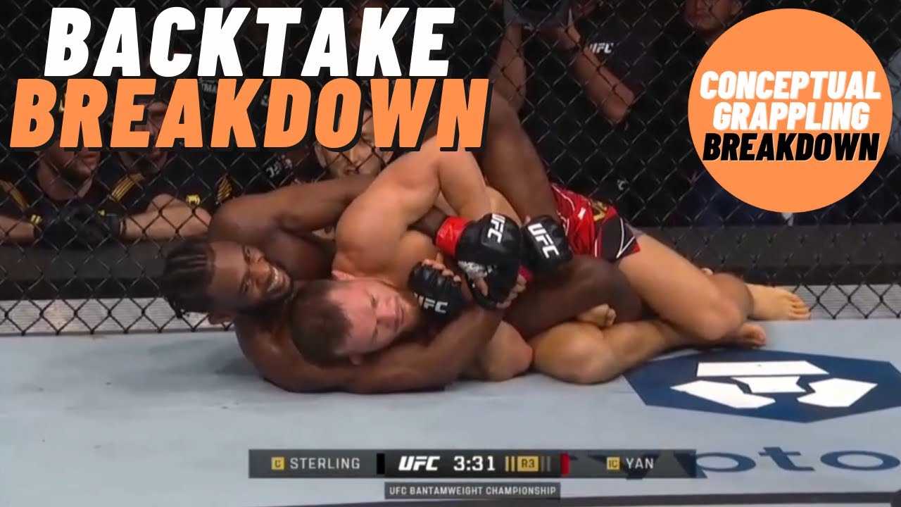 Aljamain Sterling Taking Petr Yan's Back