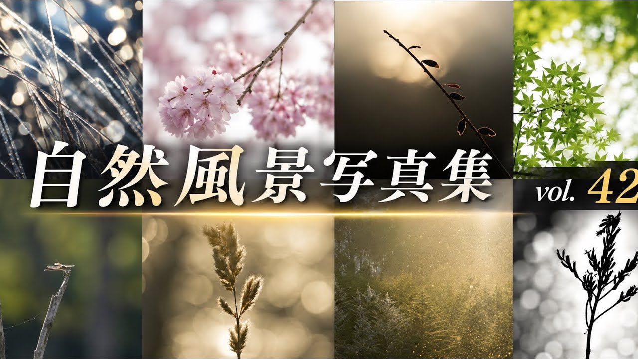 【風景写真_vol.42】光の風景写真集