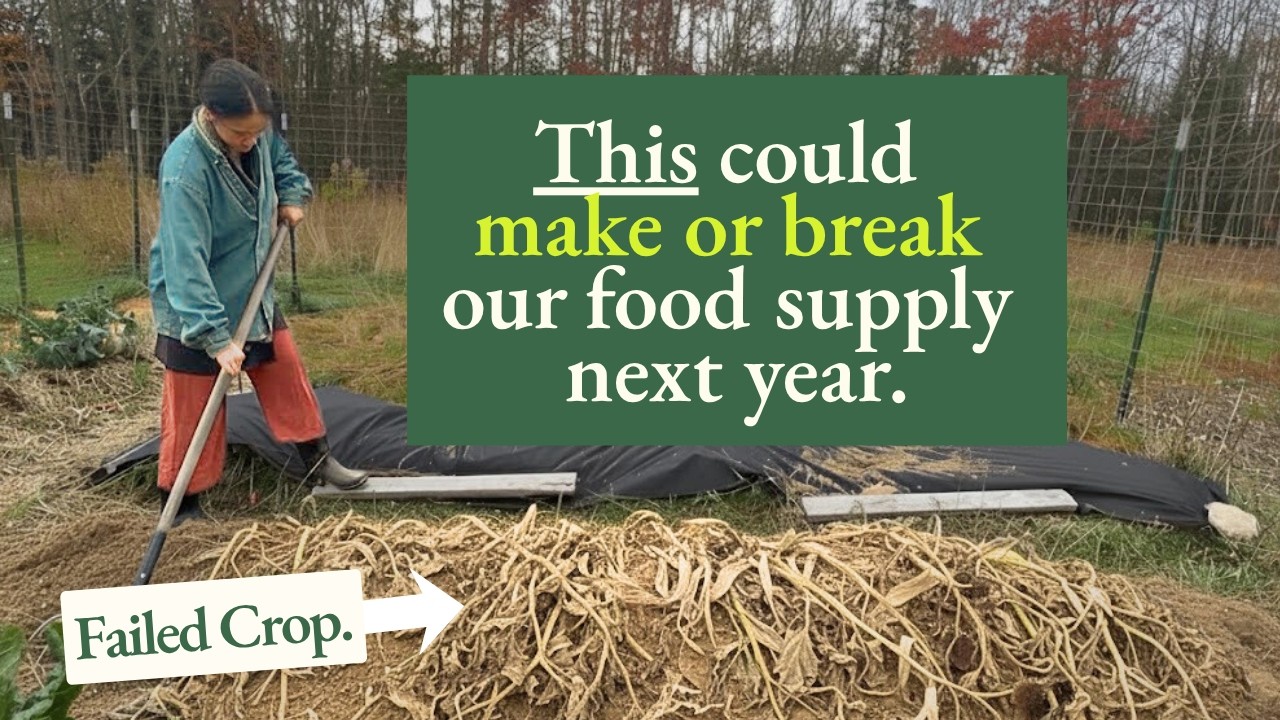 An Existential Threat to Our Homestead