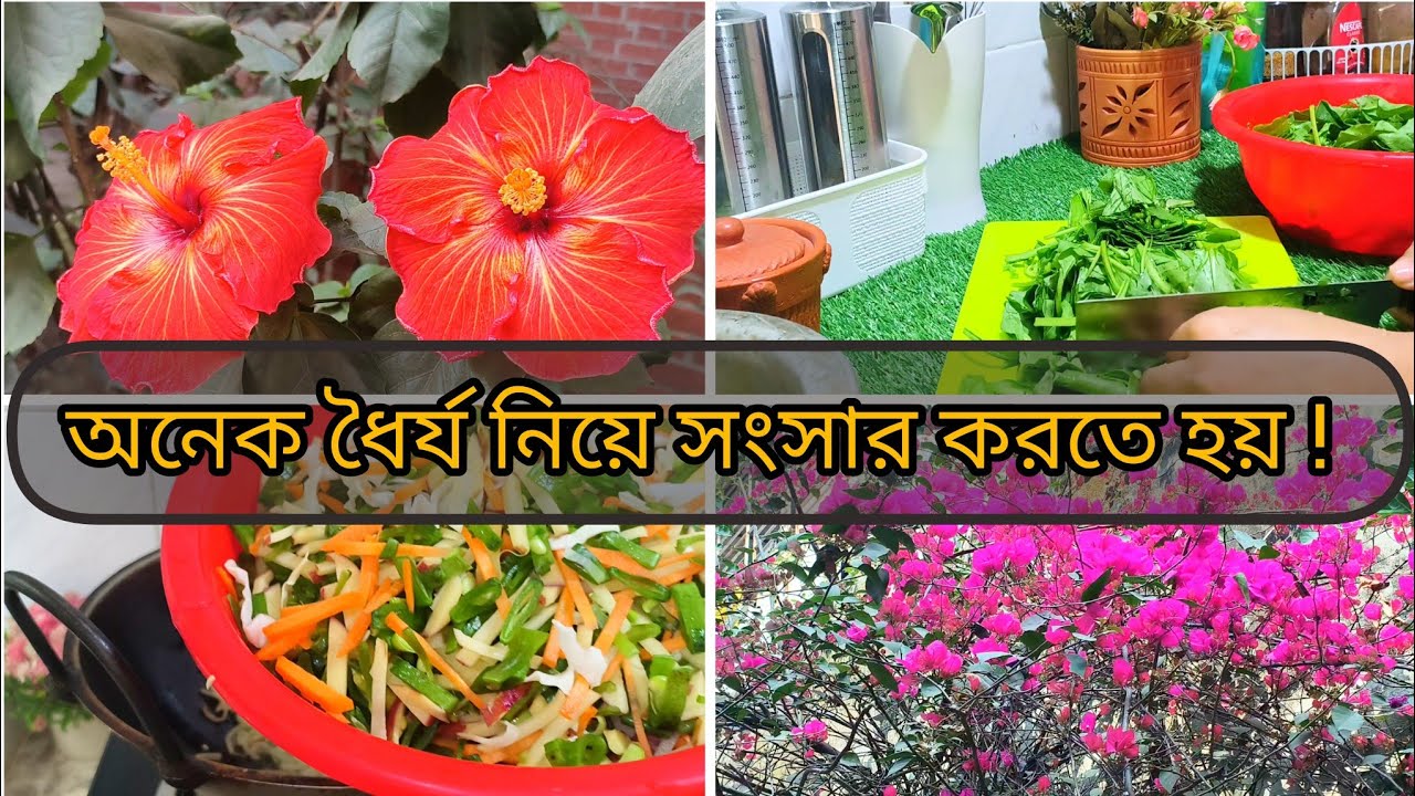 সুগৃহিনী বলে অনেক ধৈর্য নিয়ে সংসার করি✅ Housewife হওয়া এতো সহজ নয়#lifestylevlog 