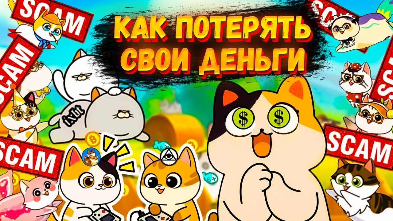 РАЗОБЛАЧЕНИЕ CATIZEN | SCAM НА КОШКАХ | ТЫ НИЧЕГО НЕ ЗАРАБОТАЕШЬ