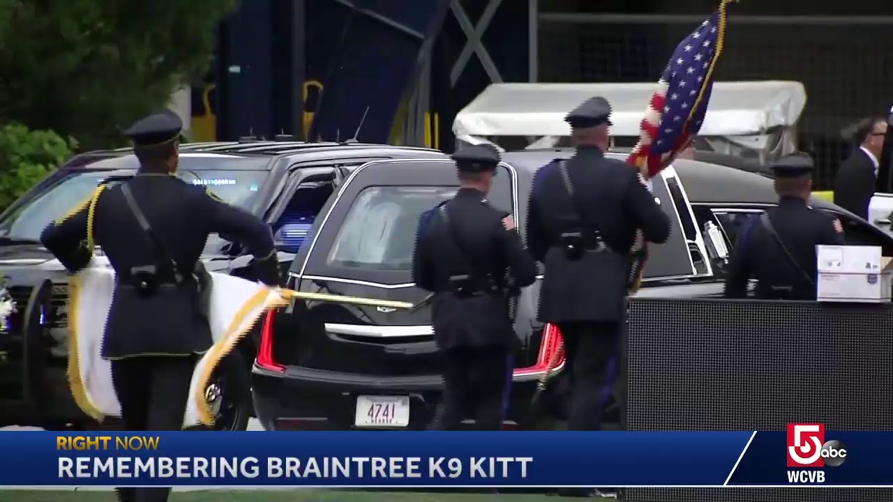 Remembering Kitt: A memorial service is happening now at Gillette Stadium for the Braintree K9 wh...