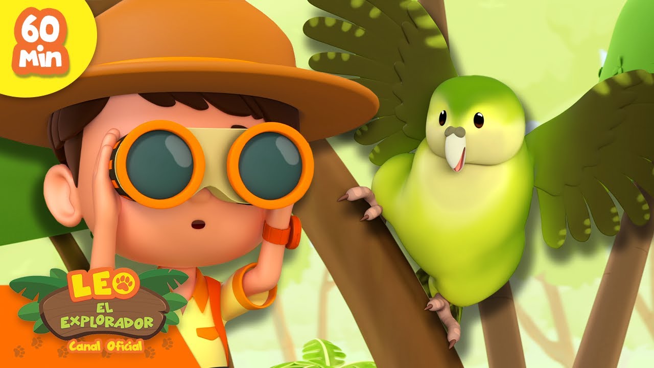 ¿Puedes encontrar las aves RARAS? 🔭🦜 | Aves Activas | Leo, El Explorador | Animación