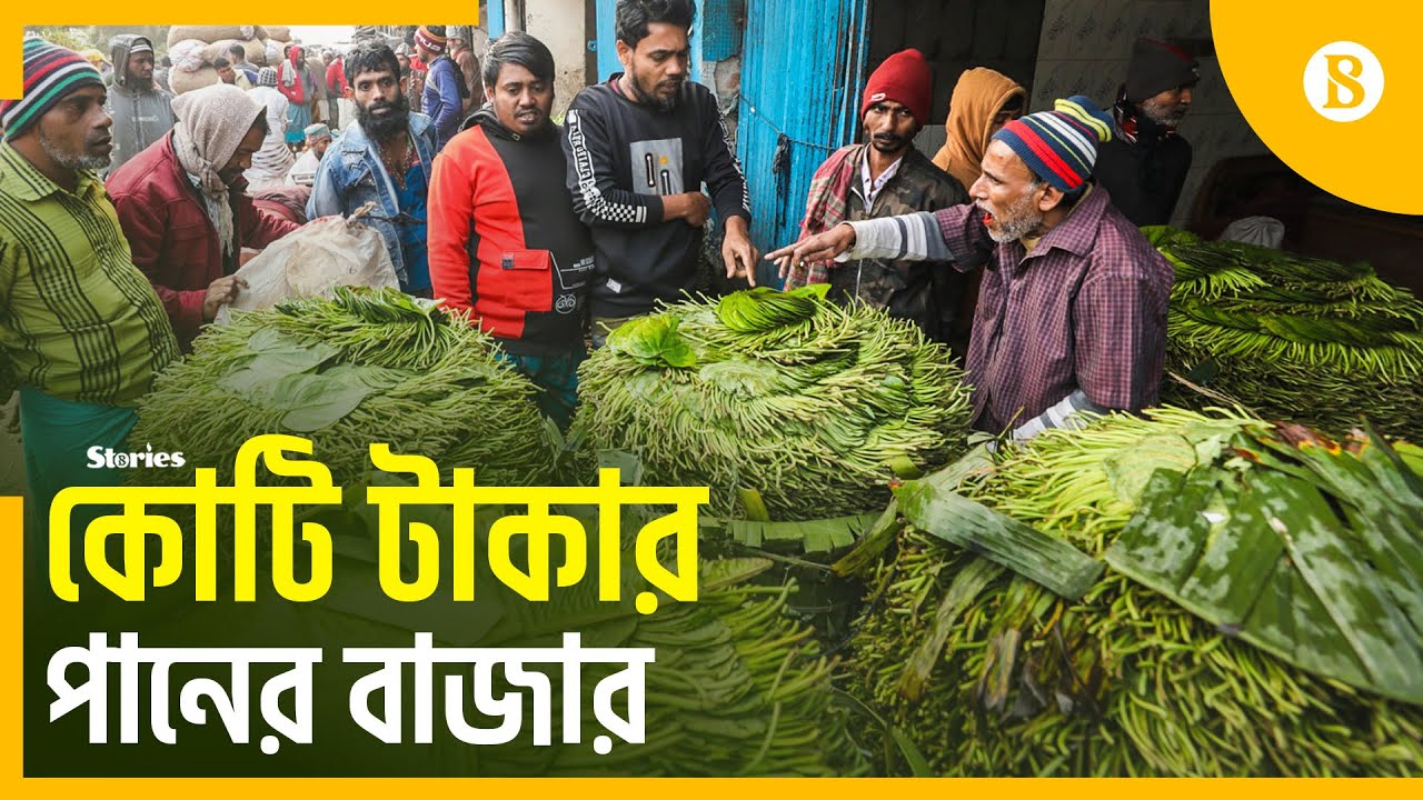 দিনে কয়েক কোটি টাকার পান বেচাকেনা হয় যেখানে | Betel Business | The Business Standard