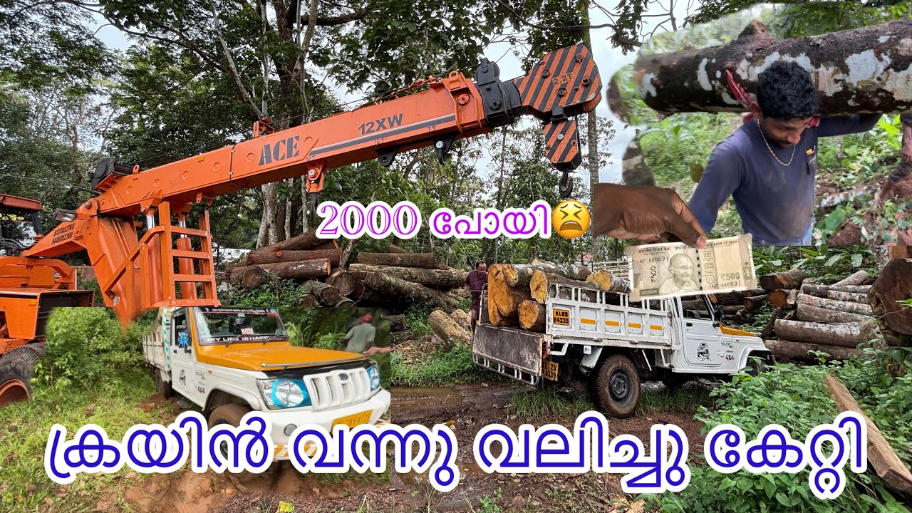 2000 പോയി 🥹ക്രയിൻ വന്നു വലിച്ചു കേറ്റി😢🥹#travel #automobile #driver 