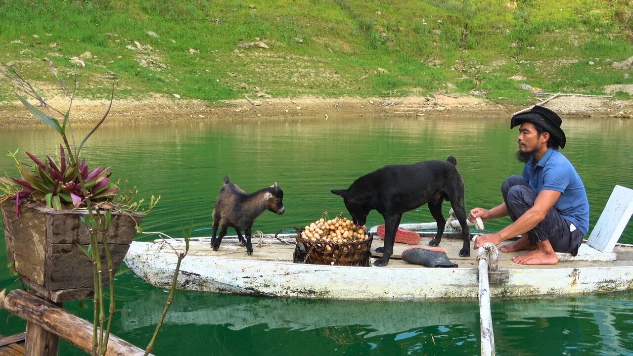 Picking bamboo shoots and fruits from the forest to sell at the market. A fun day at work with pets
