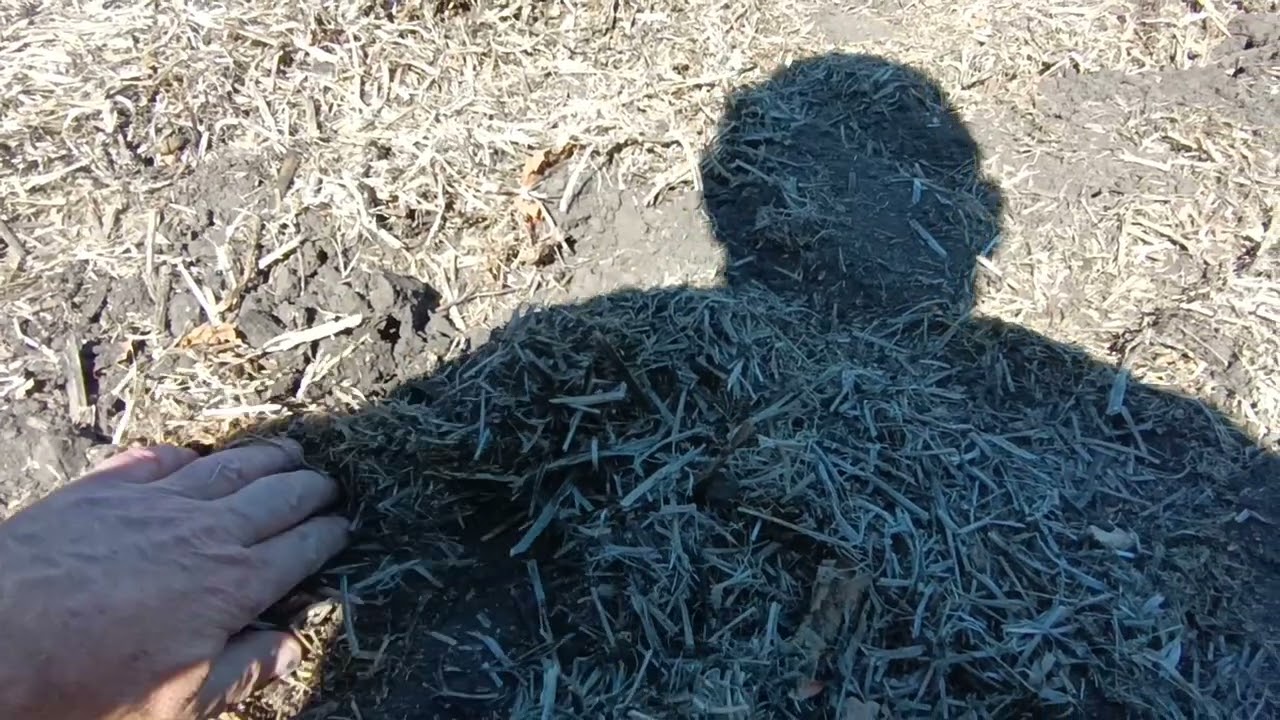 No- Till посів озимої пшениці 2025.