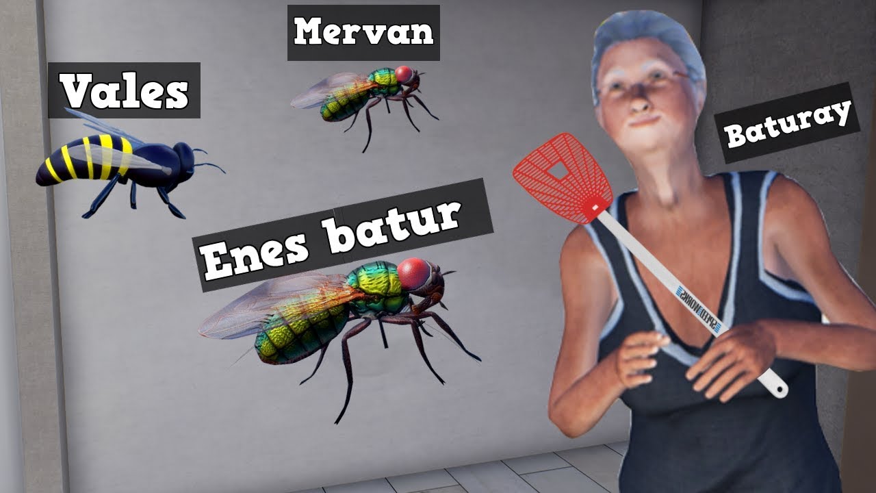 EKİPLE SİNEK TOKATLAMA OYUNU!! (Slap The Fly)
