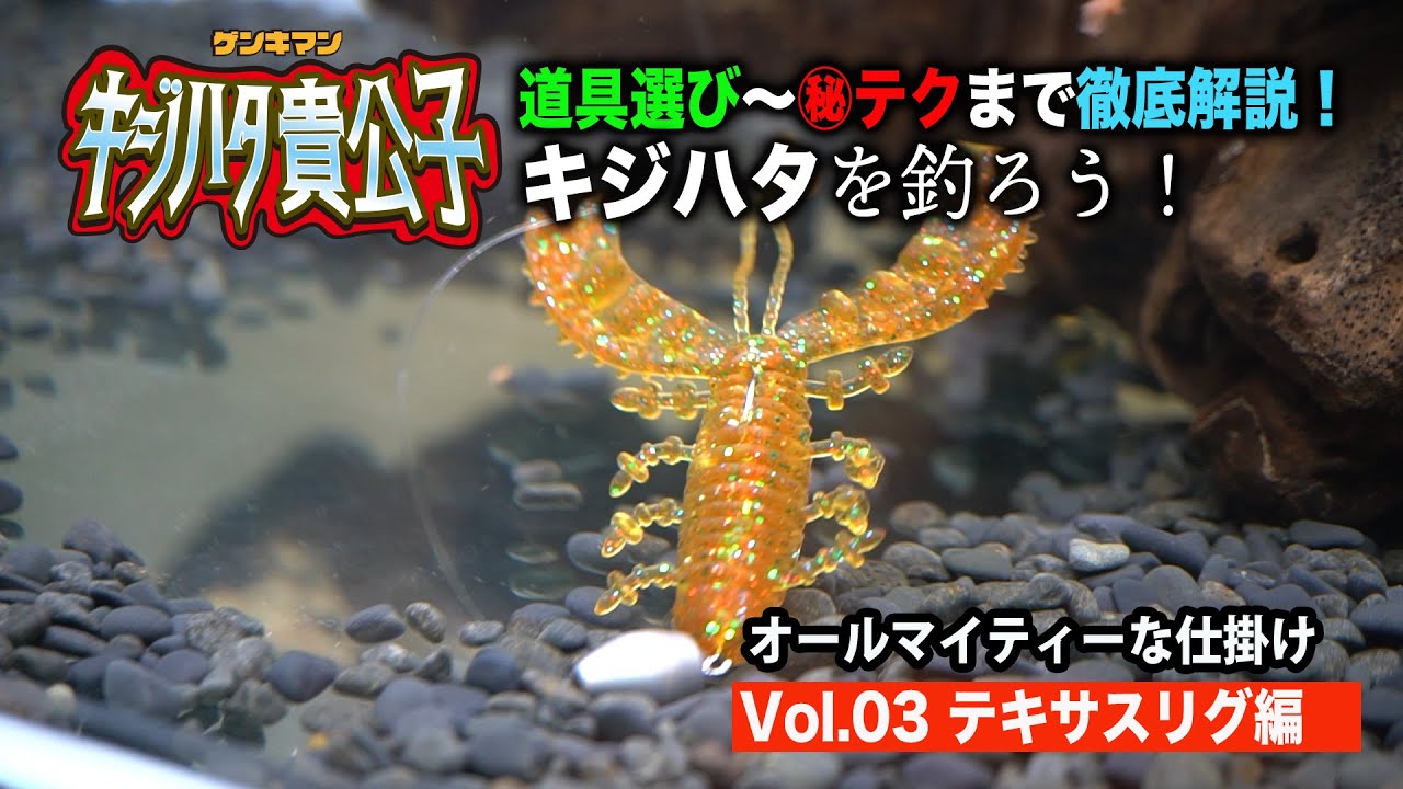 【キジハタ入門④テキサスリグ】ロックフィッシュの基本形ともなるテキサスリグを水中映像で徹底解説。シチュエーション別使用方法も。【地球遊び#135】
