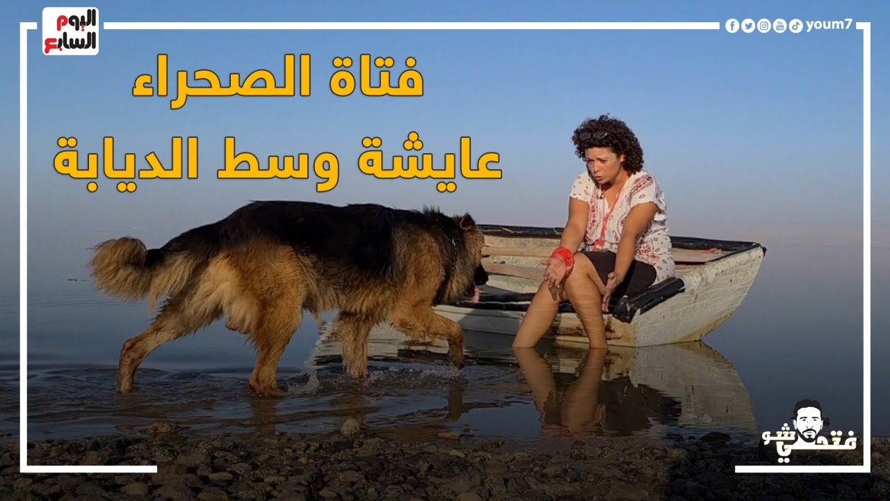 فتاة الصحراء.. يبحث عنها ملايين المصريين .. لقينا زينب على بعد ١٠٠٠ كيلو عايشة وسط الديابة
