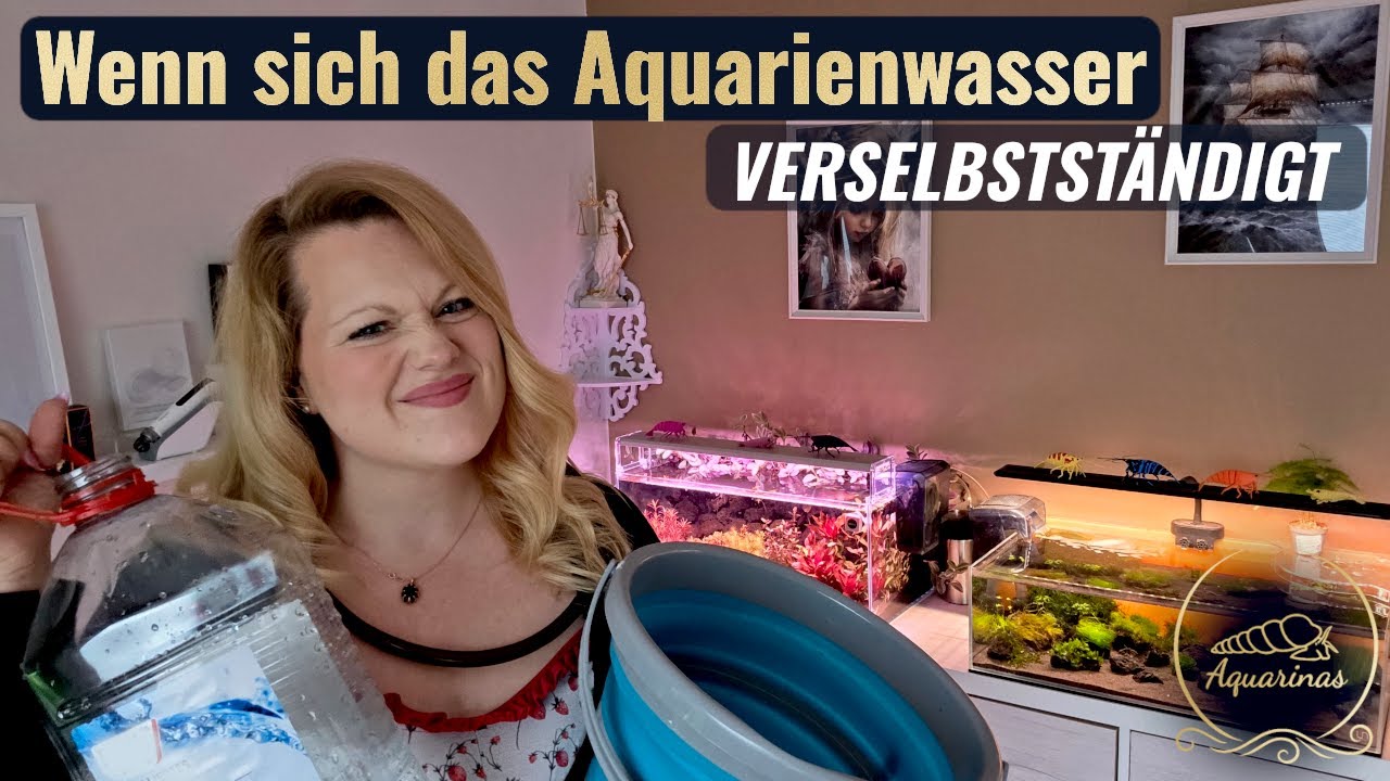 Nie wieder dieser Eimer... 😬 | Medaka & Garnelen im Aquarien-Vlog
