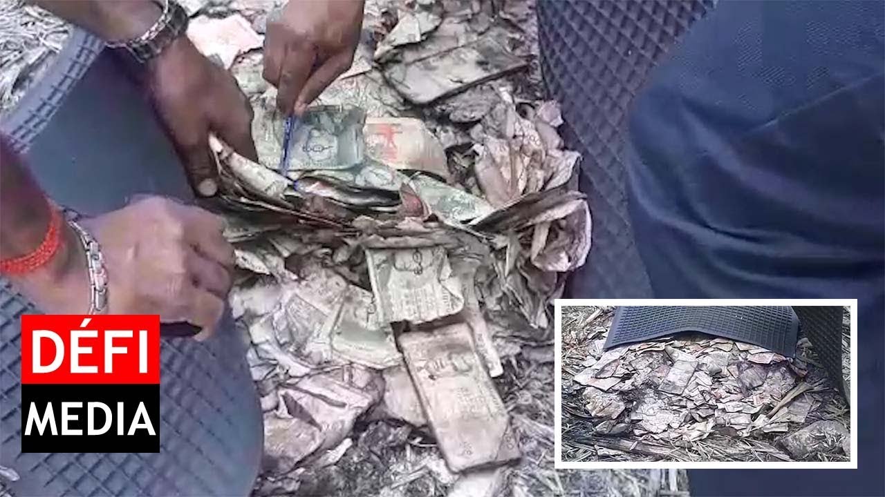 Daruty : environ Rs 500,000 retrouvées dans un champ de canne
