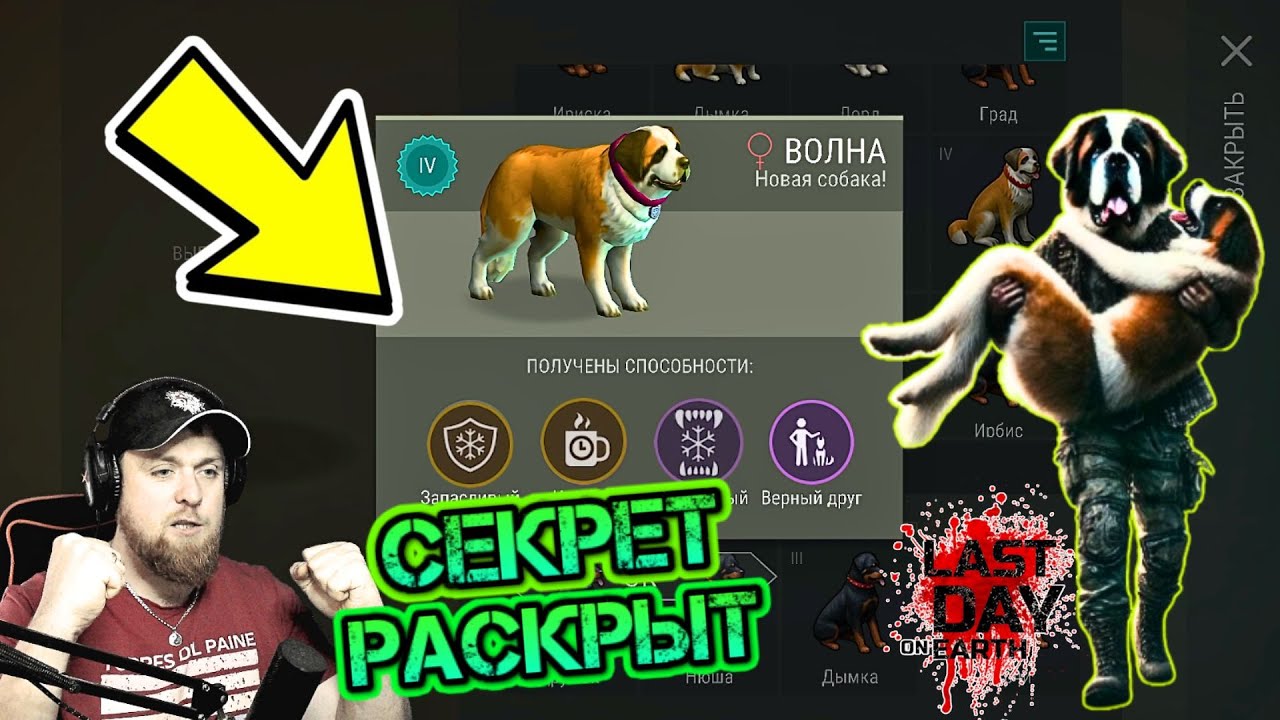 КАК ПОЛУЧИТЬ ВЕРНОГО ДРУГА? СЕКРЕТ РАСКРЫТ - САМЫЙ ТОПОВЫЙ СПОСОБ ПОЛУЧИТЬ ВЕРНОГО ДРУГА