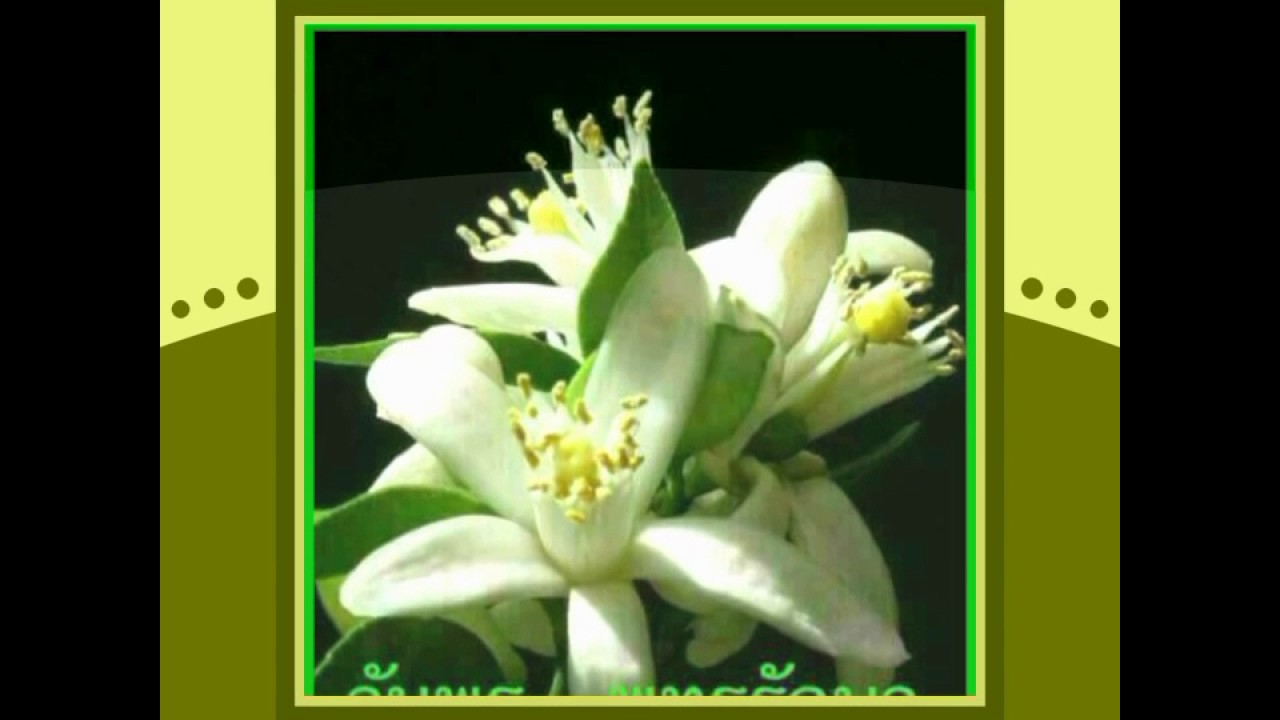 Happy Wednesday " Until You "
