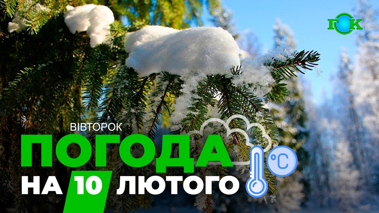 ❄️ Морози стискають Україну: де завтра вдарить найсильніший холод