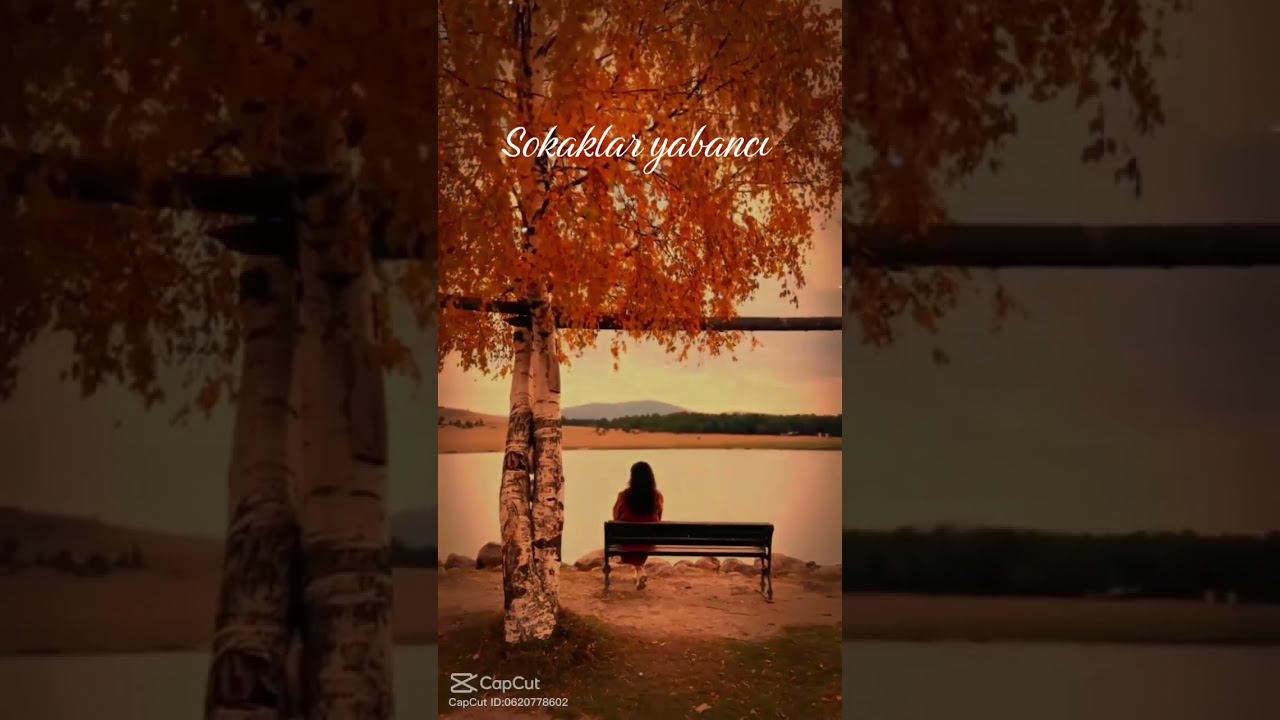 Sokaklar yabancı..